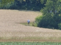 P1000199