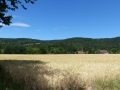 P1000273