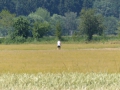 259_P1020285