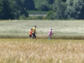 265_P1020291